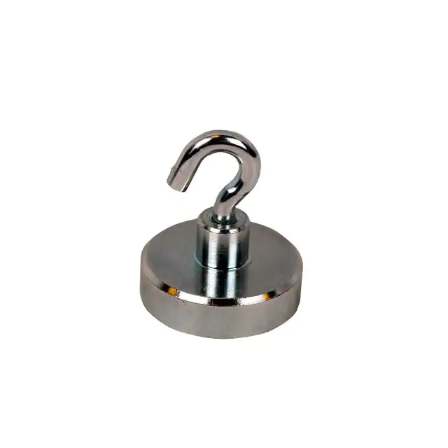 E1033/NEO Eclipse Magnetics